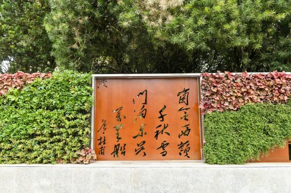 重庆室外植物墙