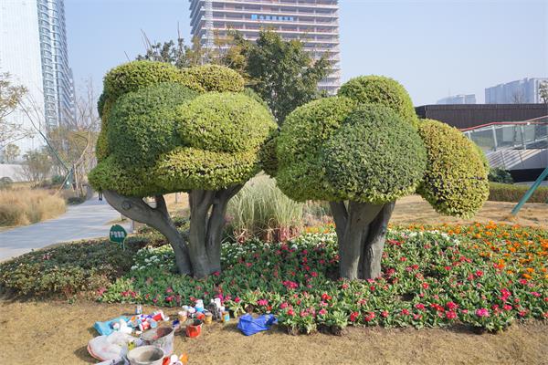 成都景观植物雕塑