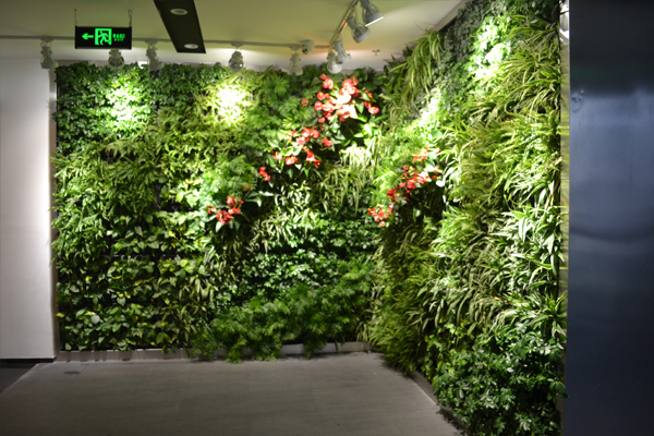 重庆植物墙设计